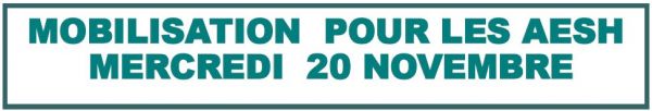 2019-11-20_AESH_Mobilisation